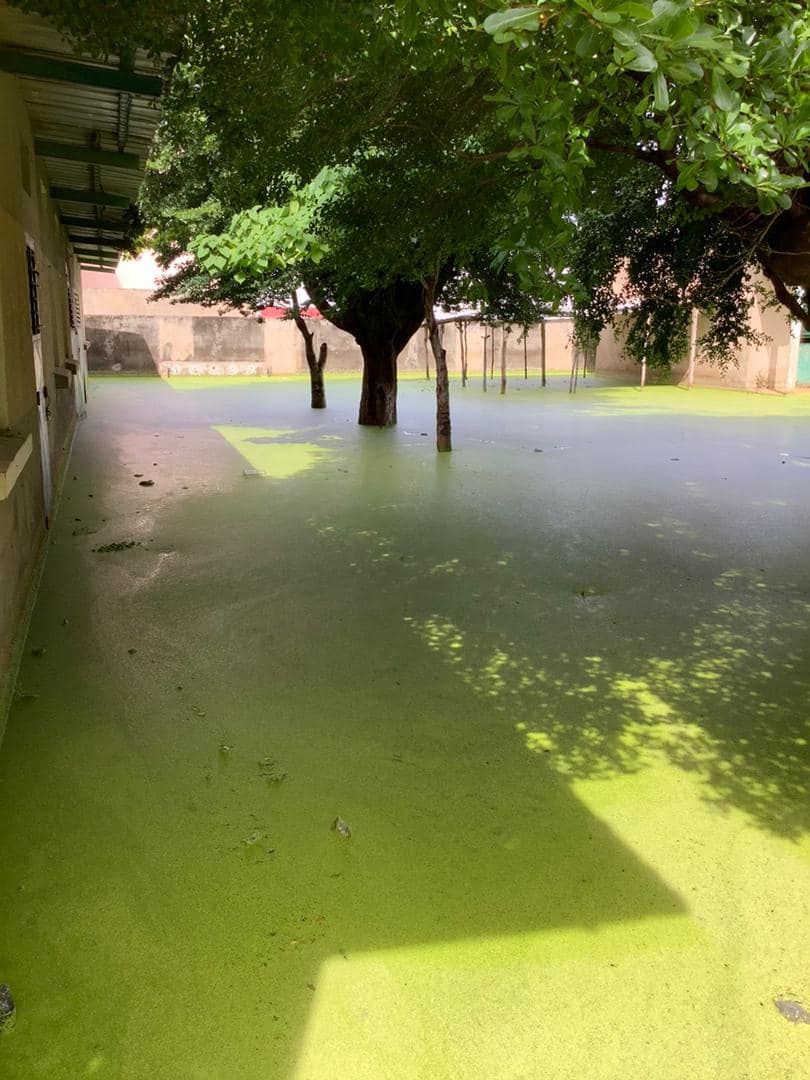 École Ngan Saer de Kaolack