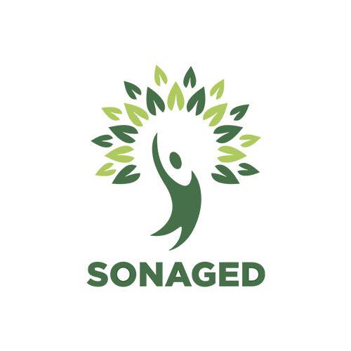 Société Nationale de Gestion Intégrée des Déchets